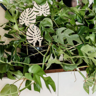 Kreativna penjačica - Fiksni stalak za cveće THREE LEAVES