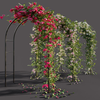 Pergola BLACK - Baštenski luk za ruže i puzavice