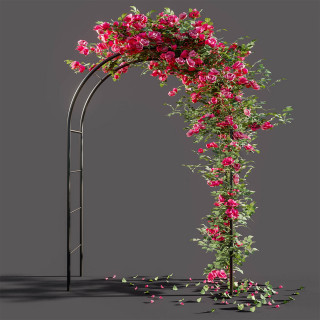 Pergola BLACK - Baštenski luk za ruže i puzavice
