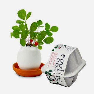 Lucky Egg - Prava biljka iz jajeta