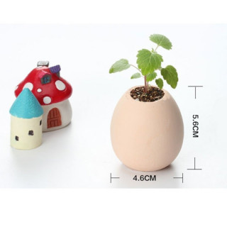 Lucky Egg - Prava biljka iz jajeta