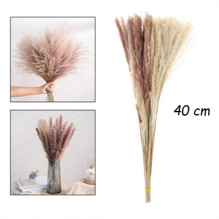 Elegantna trska - ukrasni pampas za dekoraciju doma 40 cm