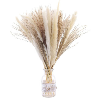 Elegantna trska - ukrasni pampas za dekoraciju doma