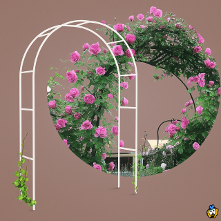 Pergola WHITE - Baštenski luk za ruže i puzavice