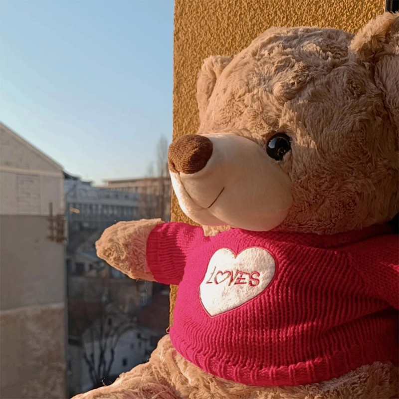 Teddy Love – Veliki plišani meda 