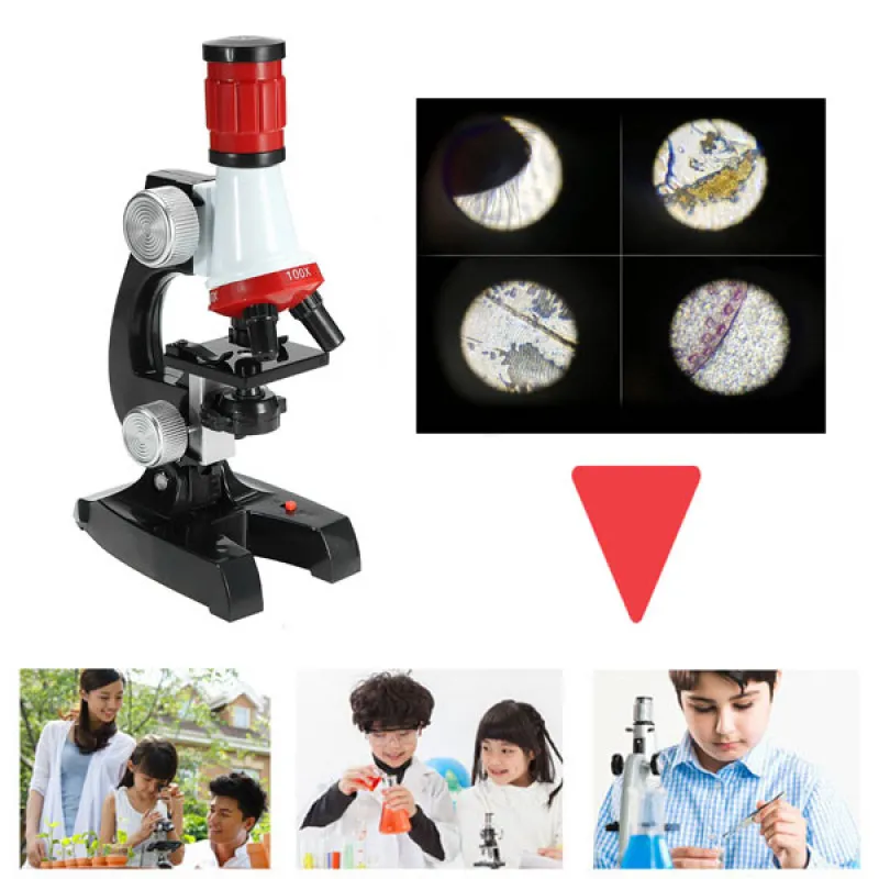 Edukativna igračka - Dečiji mikroskop set
