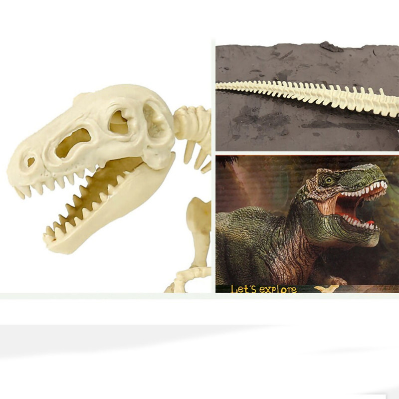 Set dino cigla - Iskopaj fosil dinosaurusa i sastavi skelet