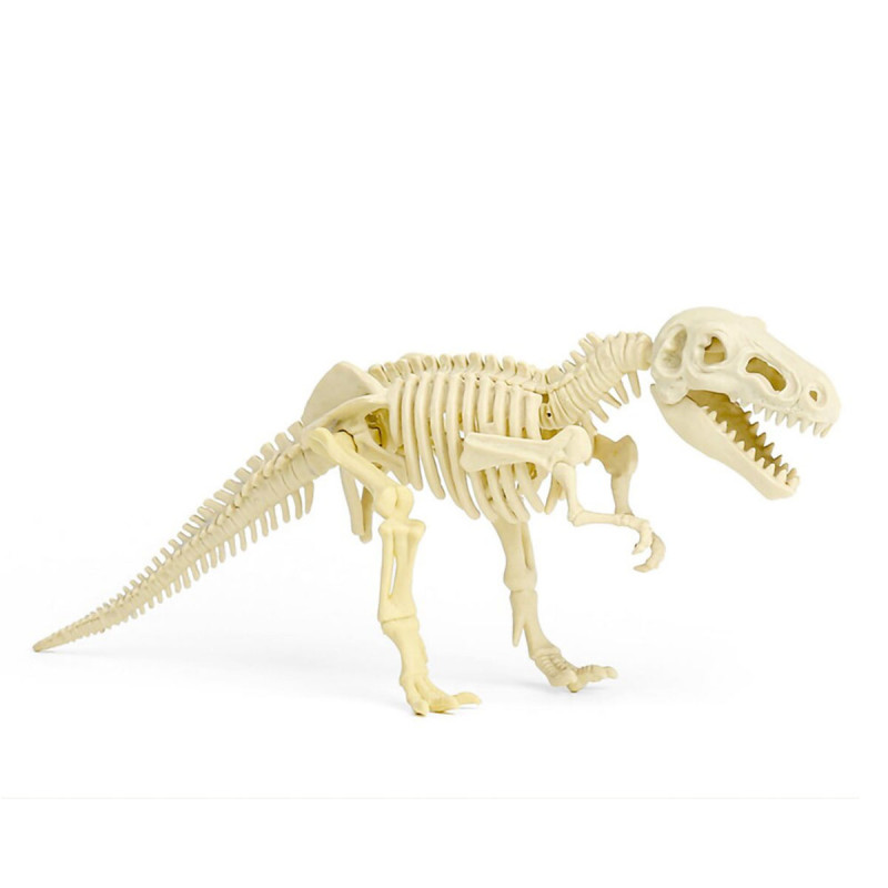 Set dino cigla - Iskopaj fosil dinosaurusa i sastavi skelet