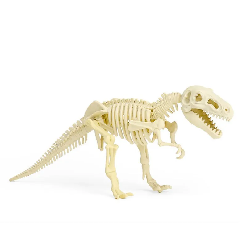 Set dino cigla - Iskopaj fosil dinosaurusa i sastavi skelet