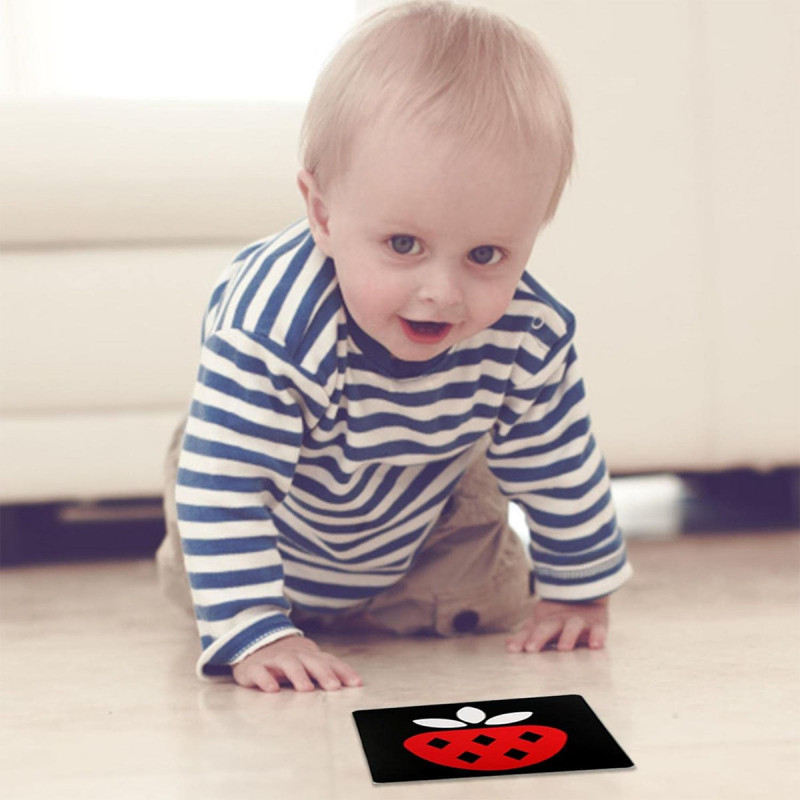 Baby Vision level 2- trobojne kartice za bebe (3-6 meseci)