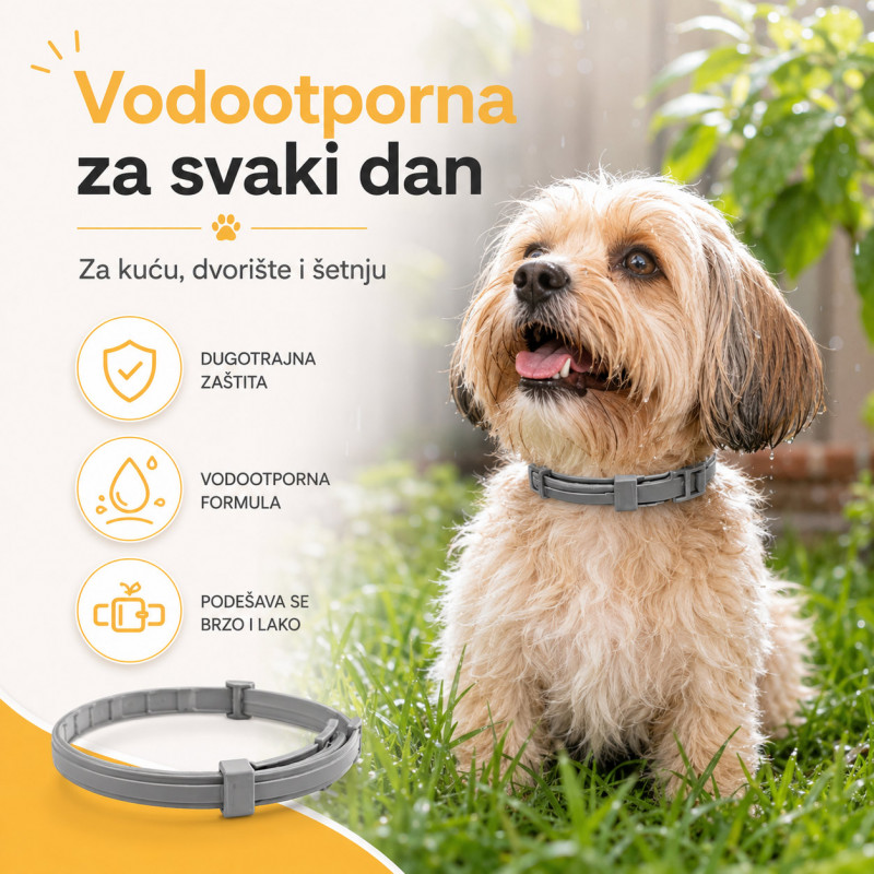 Vodootporna ogrlica protiv buva za mačke i male pse do 37 cm