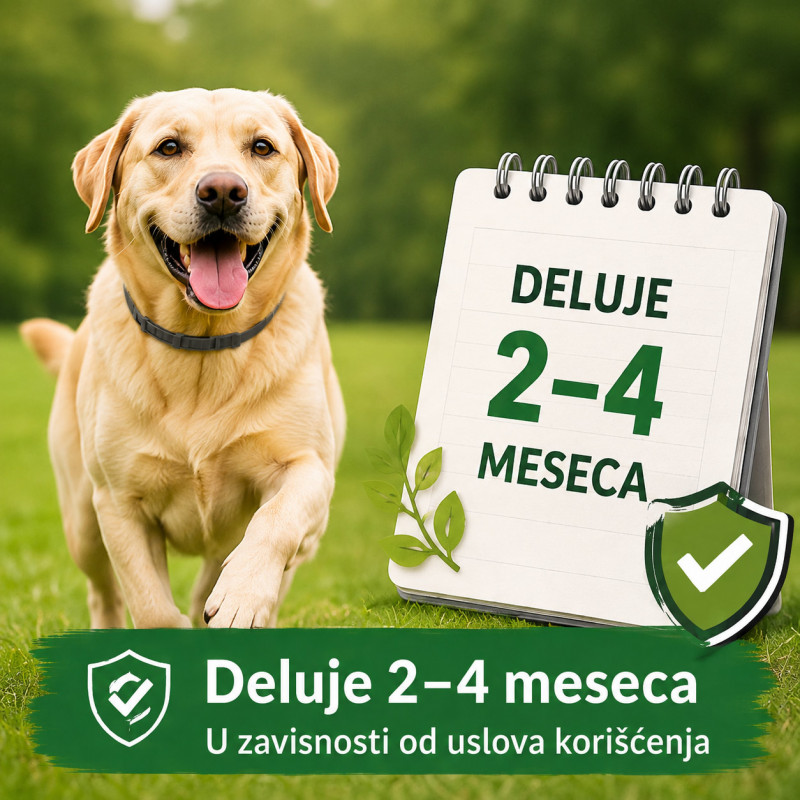 Vodootporna podesiva ogrlica protiv buva za veće pse do 62 cm