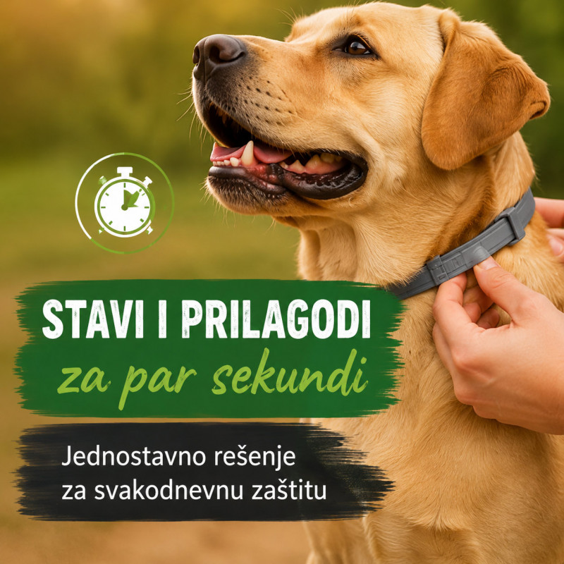 Vodootporna podesiva ogrlica protiv buva za veće pse do 62 cm
