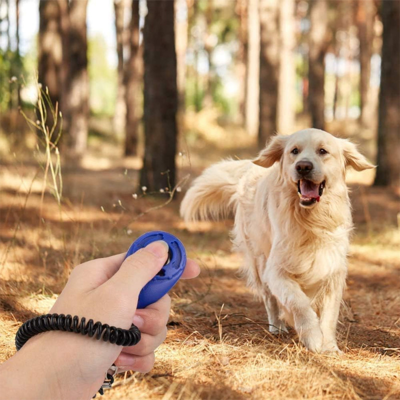 Dog Training Clicker - Narukvica sa priveskom za dresuru psa