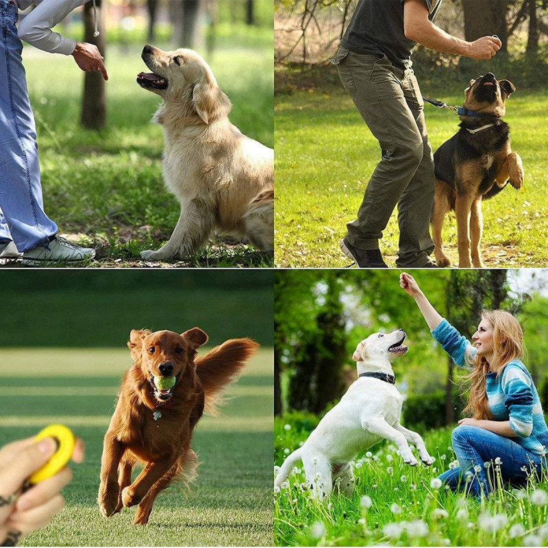 Dog Training Clicker - Narukvica sa priveskom za dresuru psa