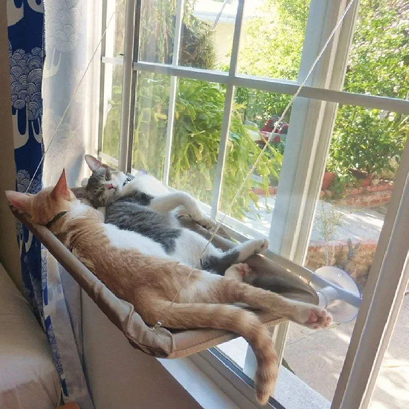 Ležaljka za mace koja se kači na prozor