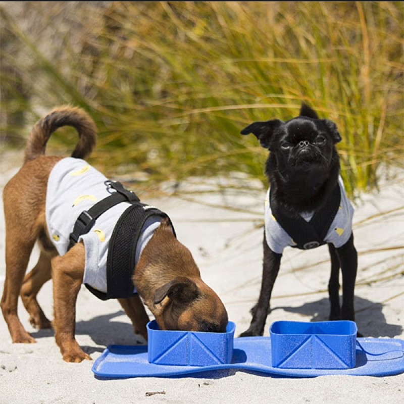 Folding pet dog bowl - dupla silikonska posuda za pse i mačke