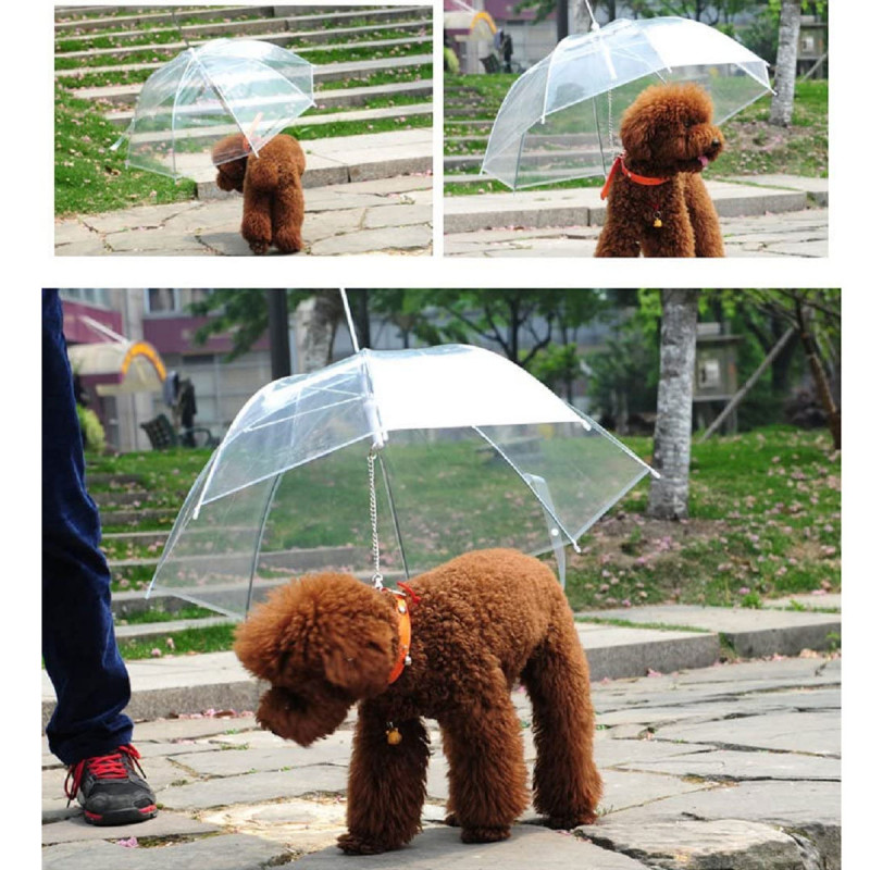 Pet umbrella - Kišobran za kućne ljubimce sa ugrađenim povodcem