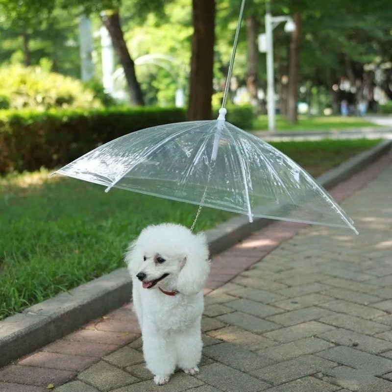 Pet umbrella - Kišobran za kućne ljubimce sa ugrađenim povodcem