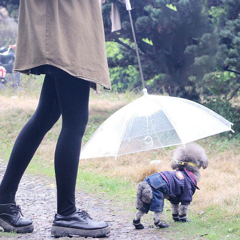 Pet umbrella - Kišobran za kućne ljubimce sa ugrađenim povodcem