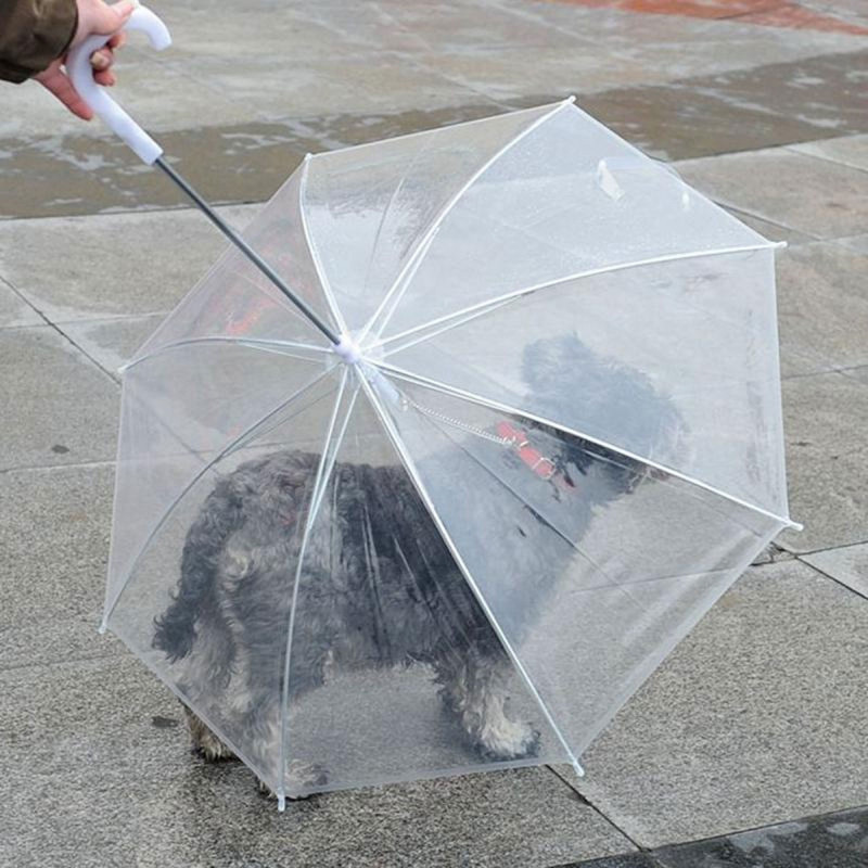 Pet umbrella - Kišobran za kućne ljubimce sa ugrađenim povodcem