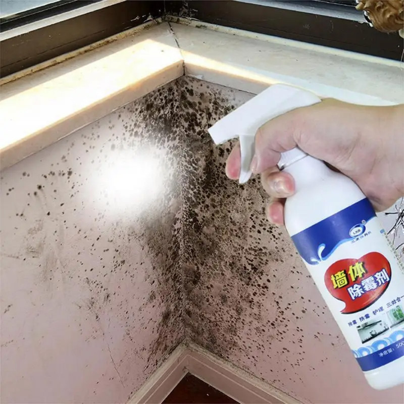 Mold remover 300 ml – Sredstvo za uklanjanje buđi