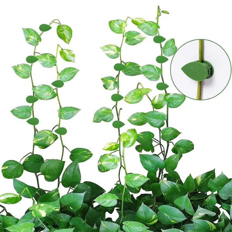 Plant clips - listići držači za biljke