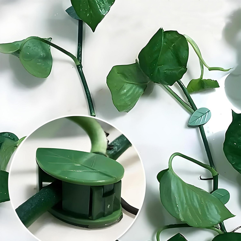 Plant clips - listići držači za biljke