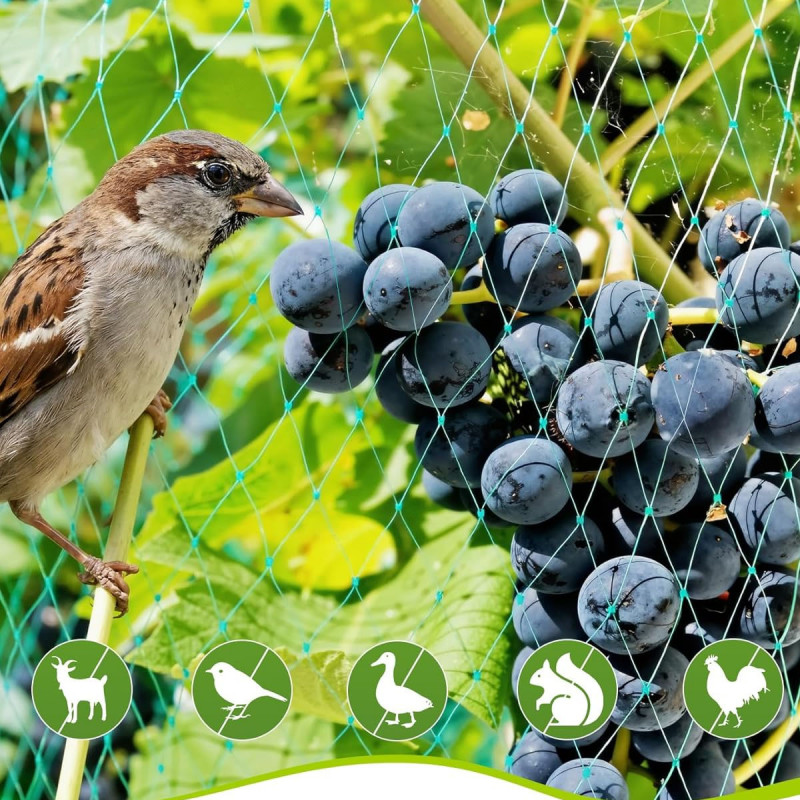 Baštenska zaštitna mreža za biljke i voće -  4x10m
