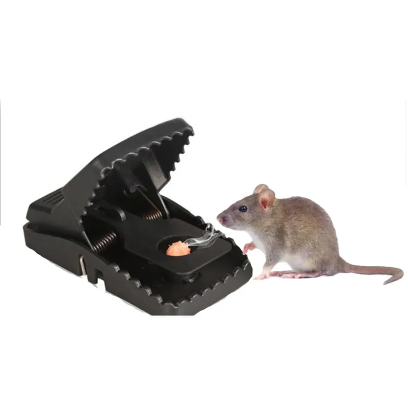 Catch the mouse – Zamka za miševe
