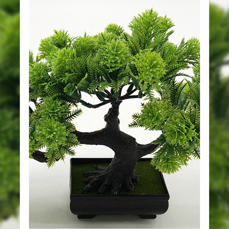 Bonsai plant - veštačka dekorativna biljka