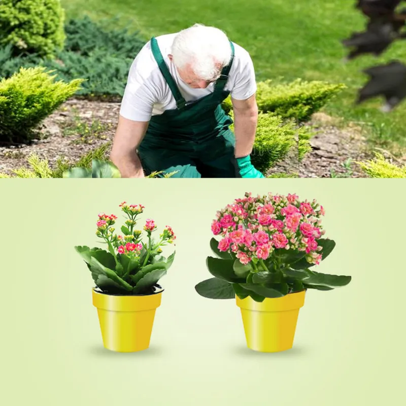 Flower fertilizer - Tečno sredstvo za razvoj biljaka