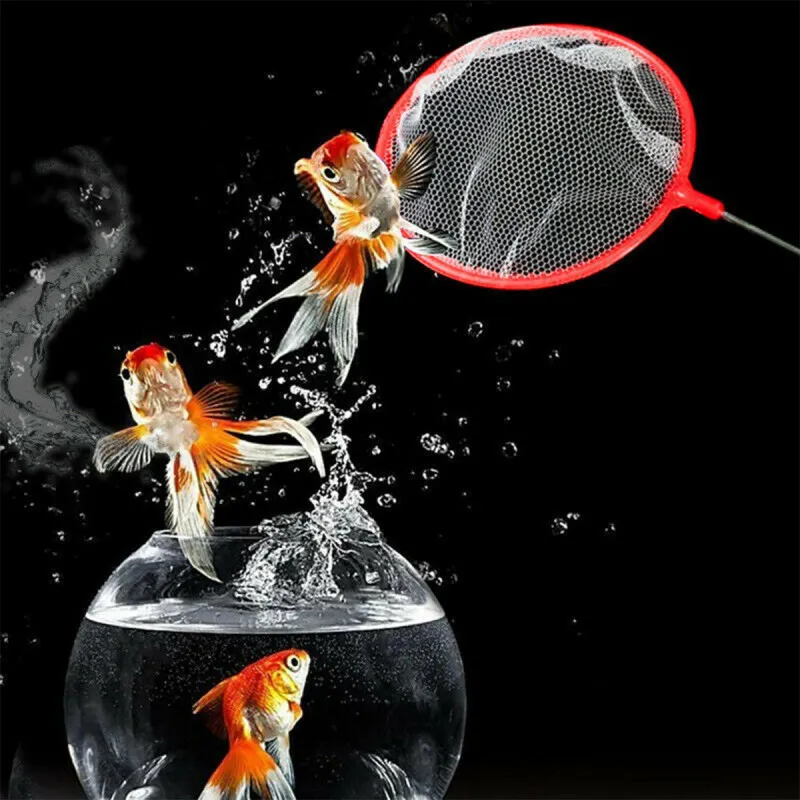 Catch a fish – Mrežica za hvatanje ribica