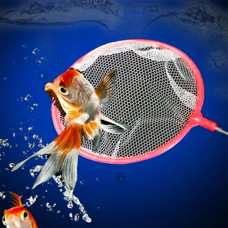 Catch a fish – Mrežica za hvatanje ribica