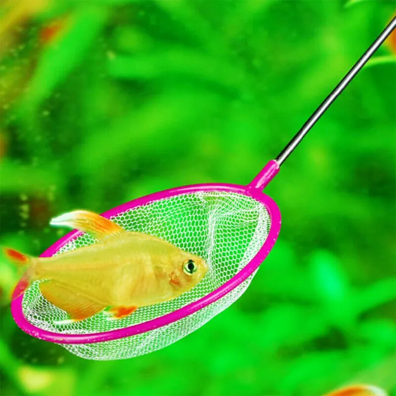 Catch a fish – Mrežica za hvatanje ribica