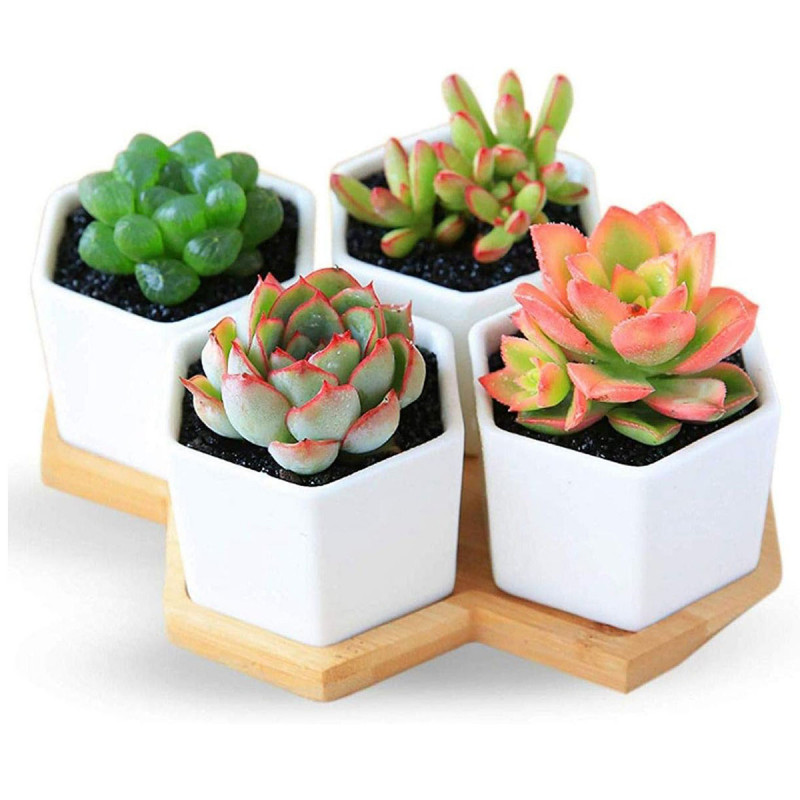 Mini flower pot - Mini dekorativne saksije 