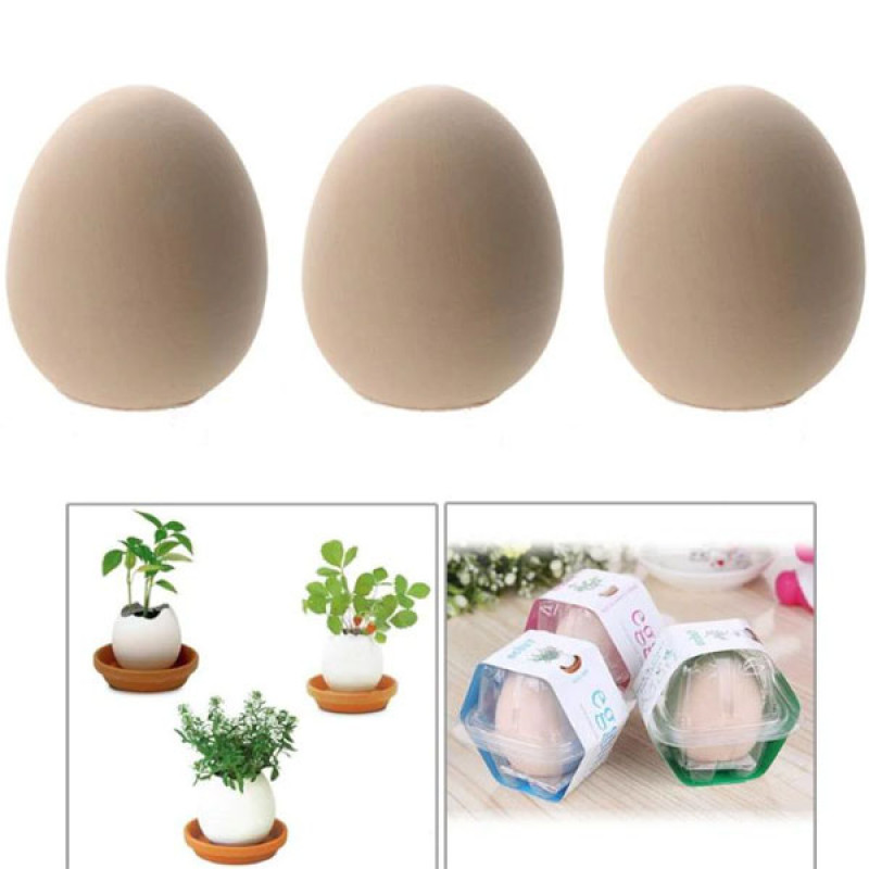 Lucky Egg - Prava biljka iz jajeta