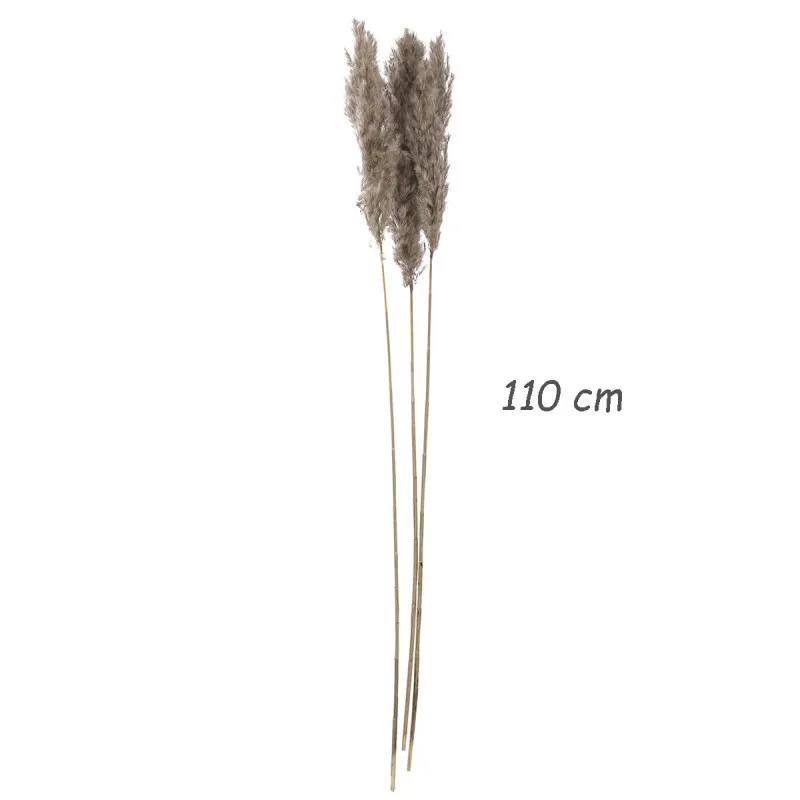 Elegantna trska - veliki ukrasni pampas za dekoraciju doma 110 cm