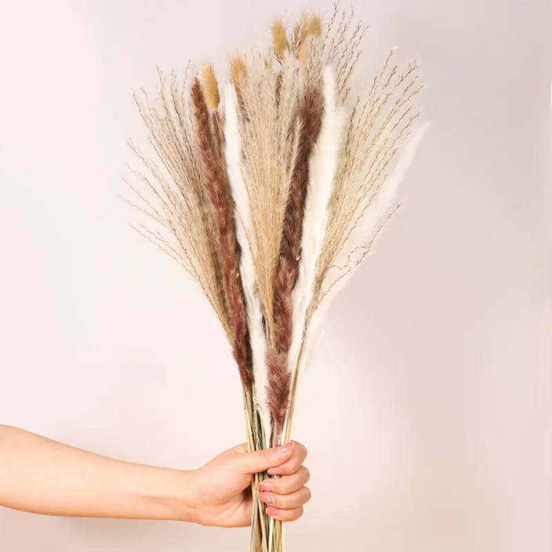 Elegantna trska - ukrasni pampas za dekoraciju doma 40 cm