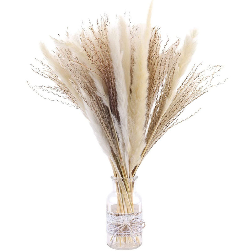 Elegantna trska - ukrasni pampas za dekoraciju doma
