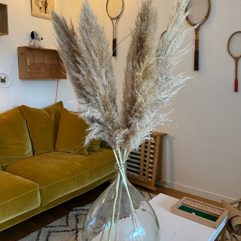 Elegantna trska - ukrasni pampas za dekoraciju doma 40 cm