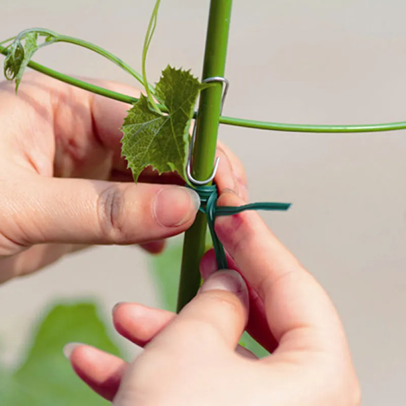 Twist Tie - Žica za vezivanje biljaka i rasada 50m