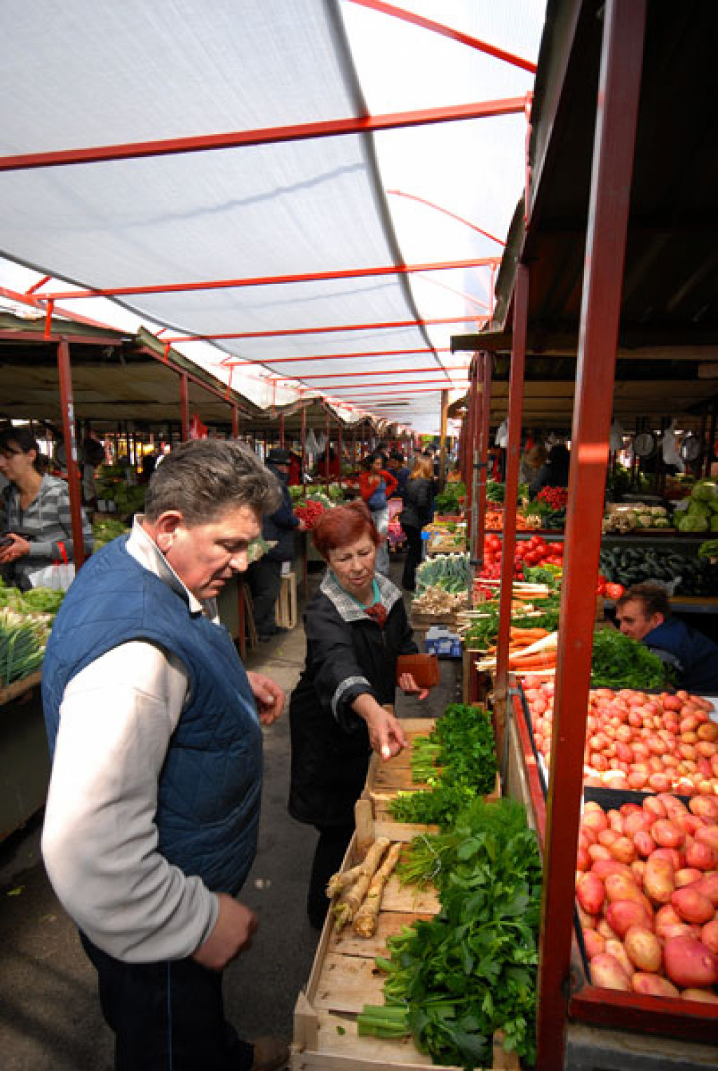 Zelena pijaca - Banovo Brdo