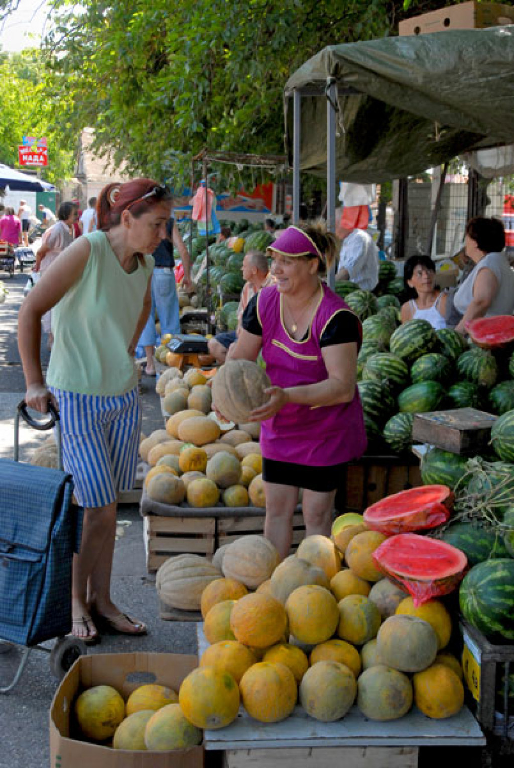 Zelena pijaca - Zvezdara (Cvetkova)