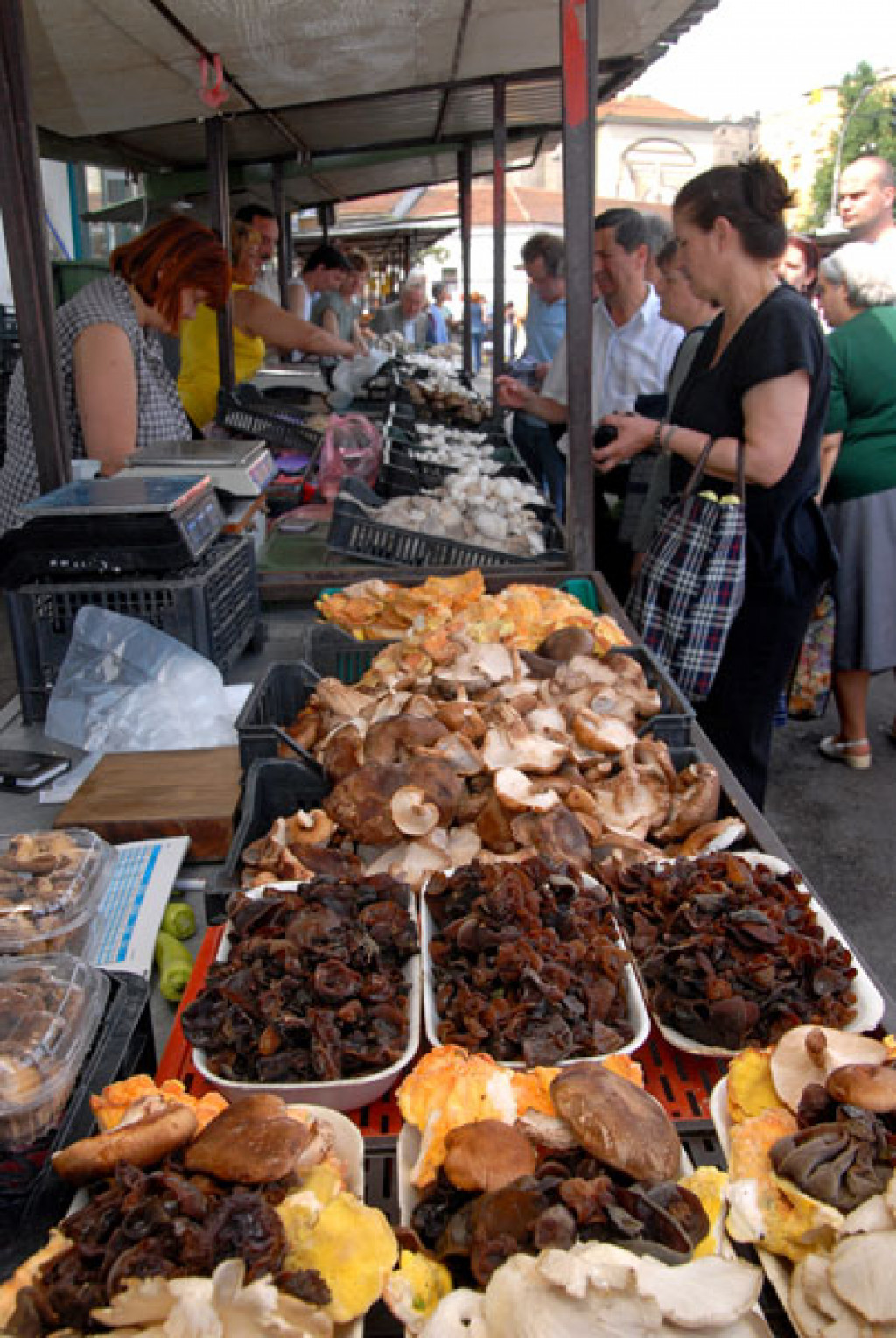 Zelena pijaca - Skadarlija (Bajlonijeva)