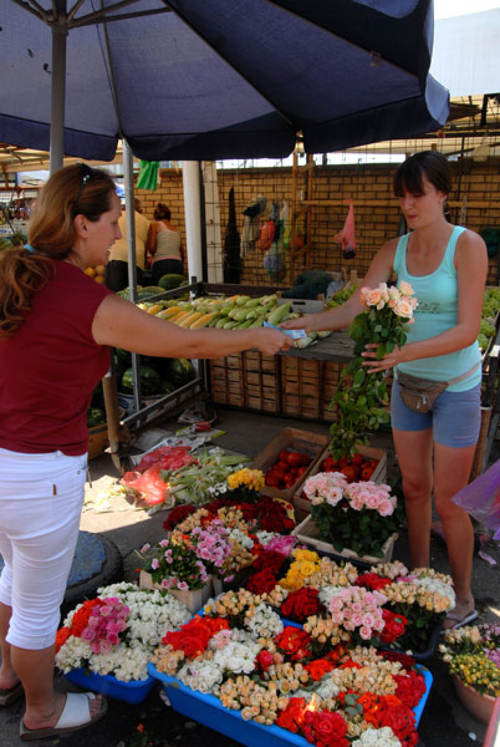 Zelena pijaca - Vidikovac