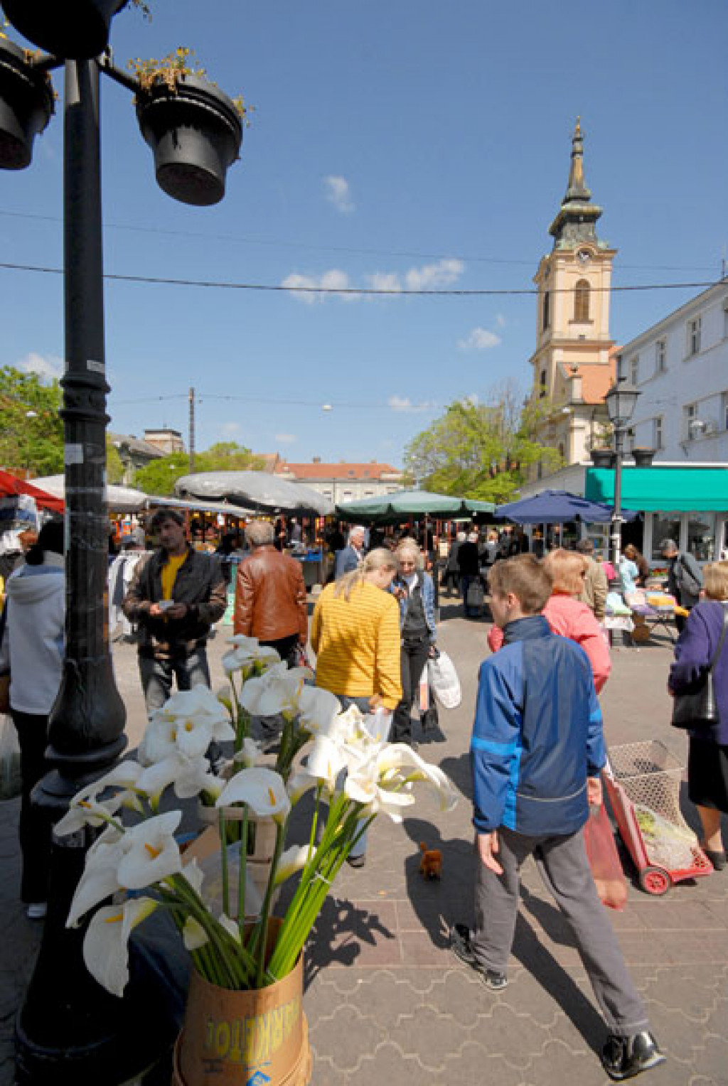 Zelena pijaca - Zemun Zelena pijaca - Zemun
