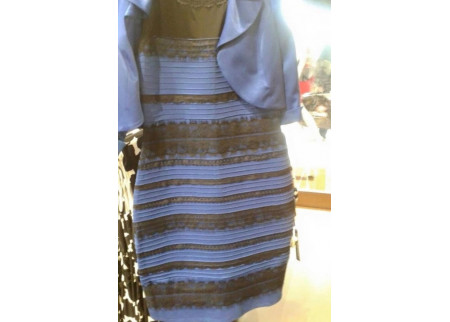 Koje boje je haljina? Crno-plava ili belo-zlatna?
