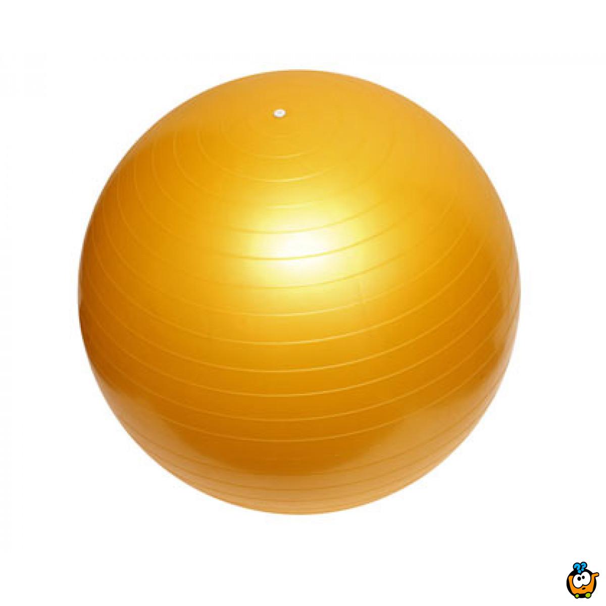 Lopta za pilates 65 cm