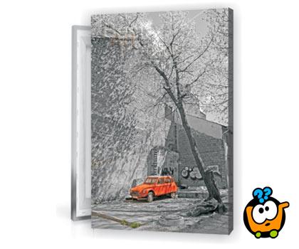 Slika Na Canvas Platnu U Zeljenoj Dimenziji